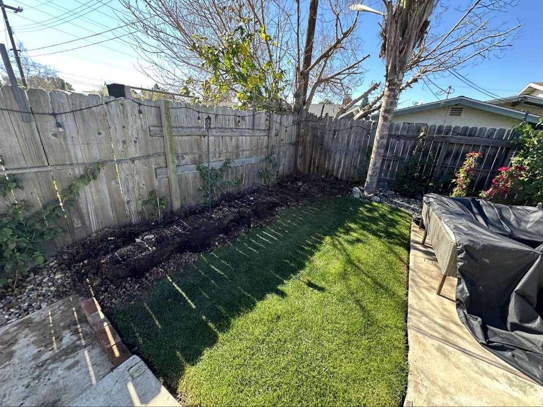 Real Delta yard after planter removal in Costa Mesa, California