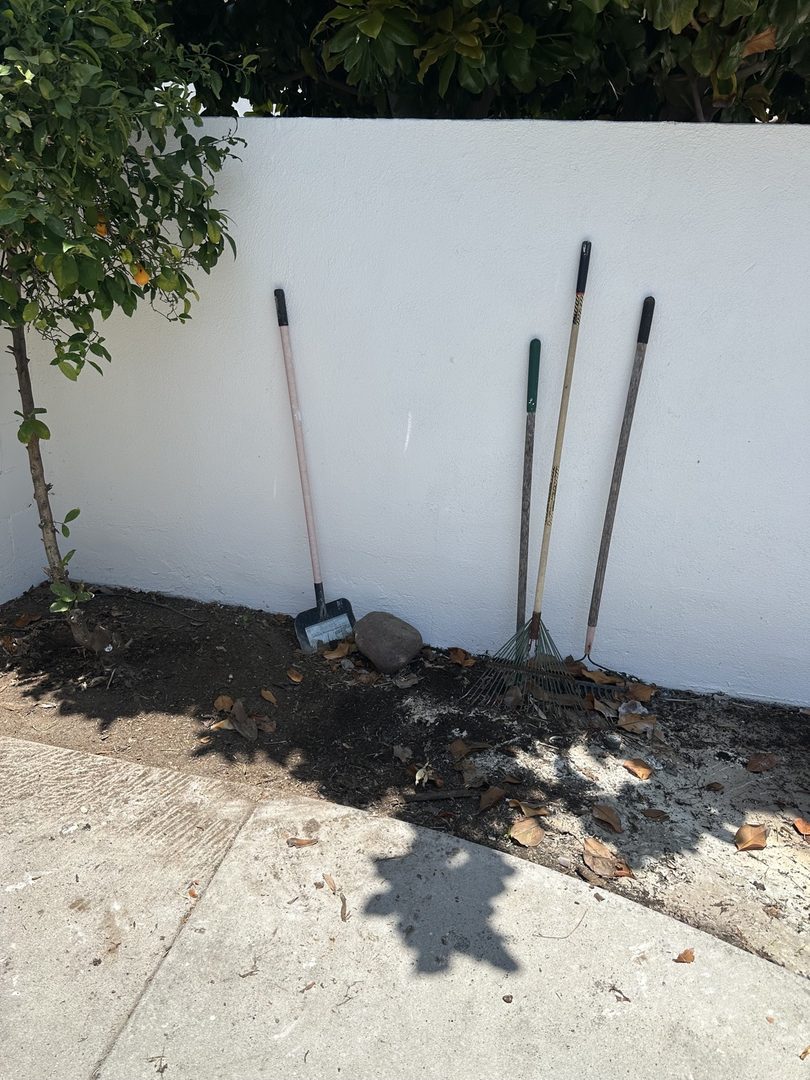 Real Delta cleared area after cleanout in Mission Viejo, California