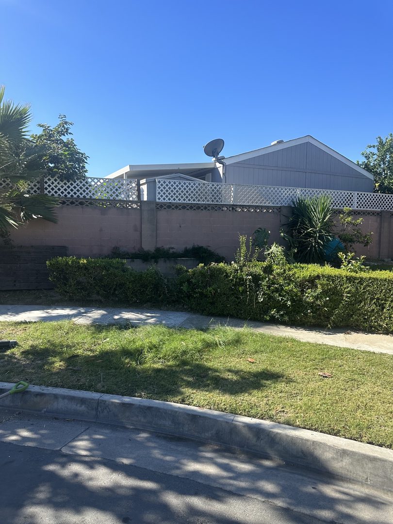 Real Delta yard cleared after tree removal in Santa Ana, California